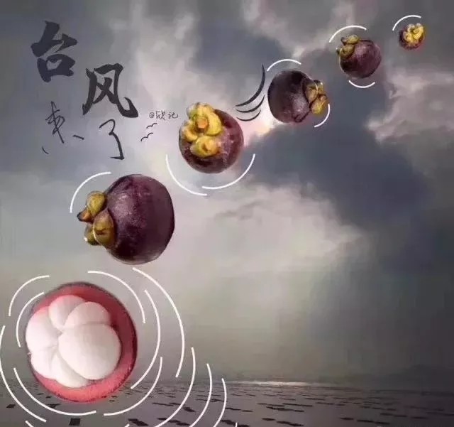 臺(tái)風(fēng)無(wú)情人有情，應(yīng)對(duì)臺(tái)風(fēng)“山竹”，我們團(tuán)結(jié)一心。