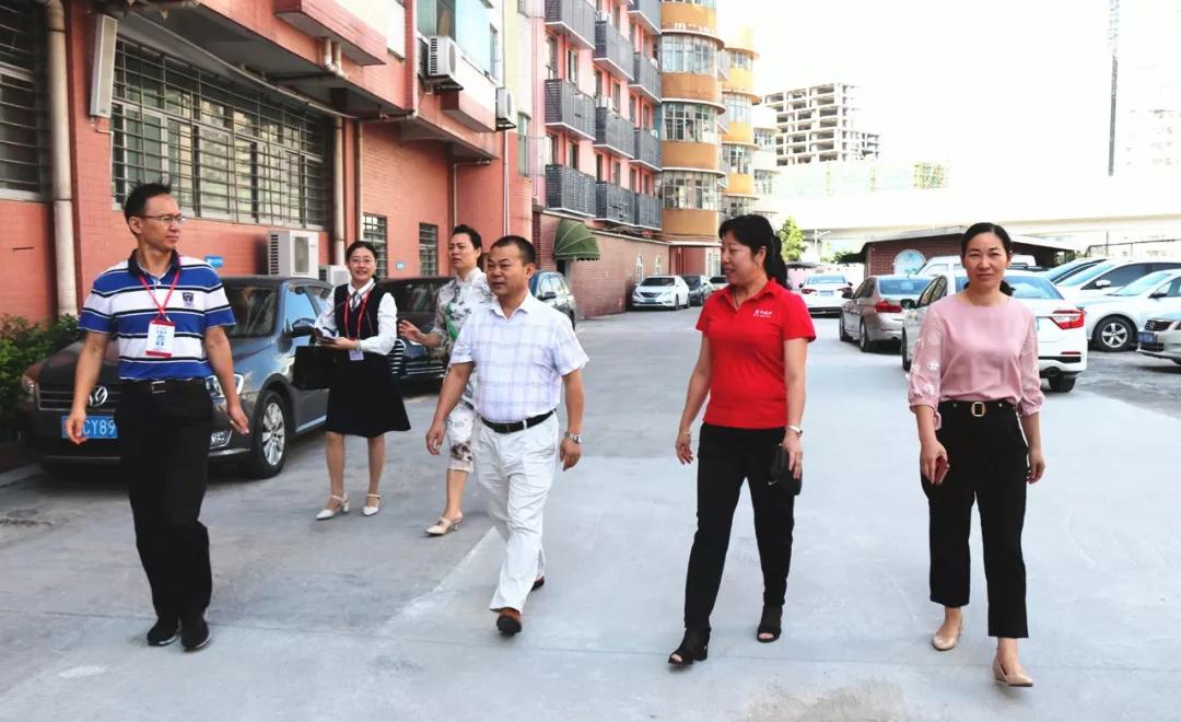 責(zé)任督學(xué)來校進(jìn)行11月督導(dǎo)，接待干部與受訪教師獲益匪淺