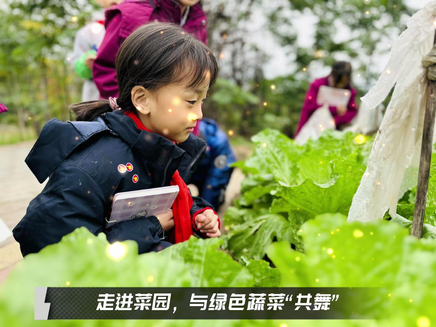 美好學校|留校時光，走出教室，與綠色蔬菜共舞